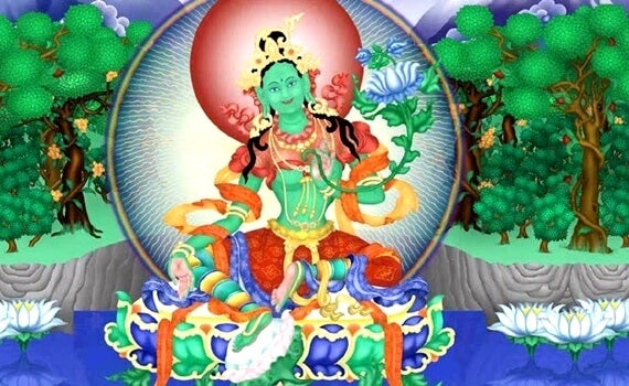Tara