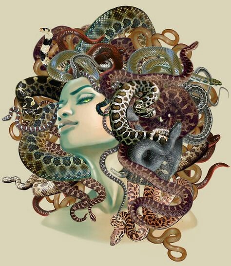Medusa y su cabeza milagrosa